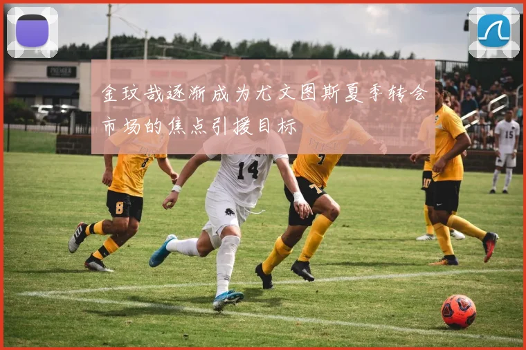 金玟哉逐渐成为尤文图斯夏季转会市场的焦点引援目标